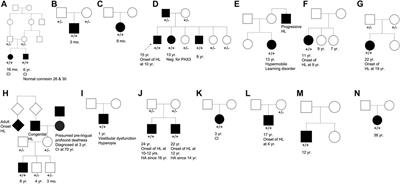 TMPRSS3 Gene Variants With Implications for Auditory Treatment and Counseling